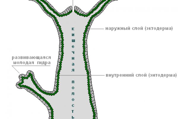 Кракен сайт kr2web in цены