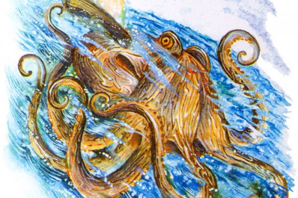 Kraken tor