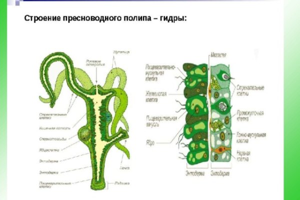 Ссылки на сайты даркнета