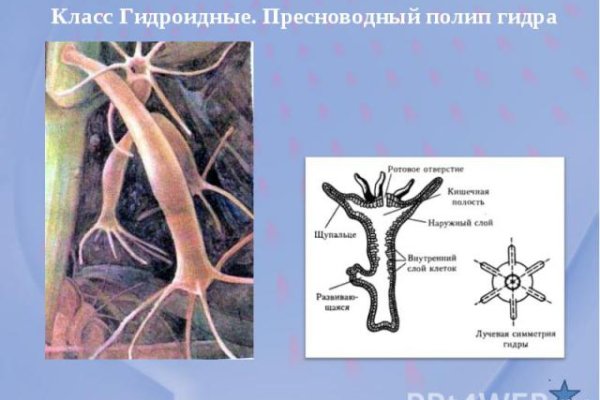 Как восстановить доступ к кракену